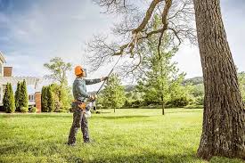 Best Soil Testing and Treatment  in Needville, TX